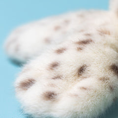 Galumphous Seal - Jellycat Sale
