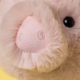 Smudge Pig - Jellycat For Sale