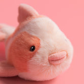 Fancy Carp - Jellycat Online