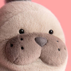 Roarwell Sea Lion - Jellycat Discount