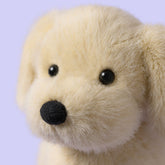 Golden Puppy - Jellycat Online
