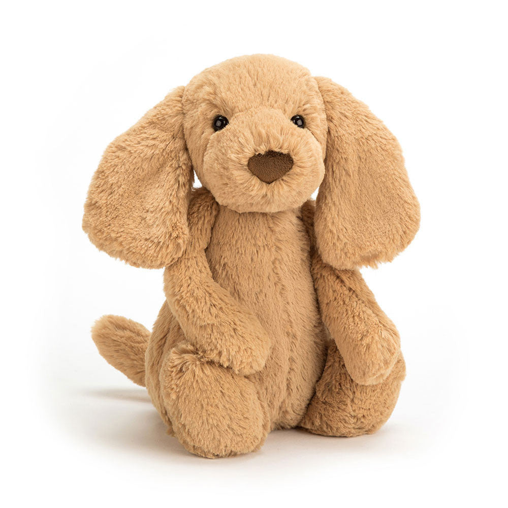 If I Were a Dog Board Book & Bashful Toffee Puppy Medium - Jellycat For Sale